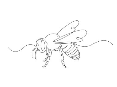Tek çizgili resimde uçan bal arısı. Bal arısının aralıksız çizimi.