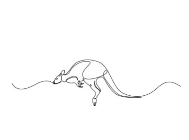 Vahşi kanguru tek bir tasvir halinde. Kanguru hayvanının aralıksız çizimleri..