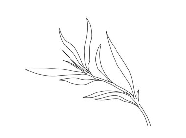 Bambu yaprakları tek ana hatlı resimde. Bambu yaprağının aralıksız çizimi.