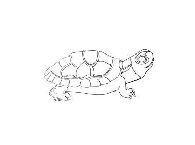 Kaplumbağa tek bir tasvir halinde. Devamlı büyük kaplumbağa çizimleri. Düzenlenebilir vuruş.