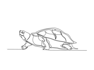 Kaplumbağa tek bir tasvir halinde. Devamlı büyük kaplumbağa çizimleri. Düzenlenebilir vuruş.