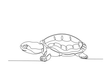 Kaplumbağa tek bir tasvir halinde. Devamlı büyük kaplumbağa çizimleri. Düzenlenebilir vuruş.