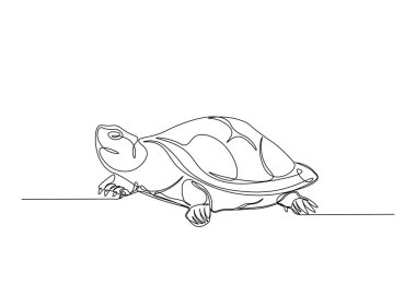 Kaplumbağa tek bir tasvir halinde. Devamlı büyük kaplumbağa çizimleri. Düzenlenebilir vuruş.