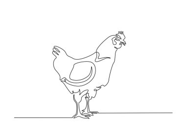 Tavuk tavuk çizimi çizimi çizimi. Tek Tavuklu Tavuk 'un aralıksız çizimleri. Düzenlenebilir vuruş.