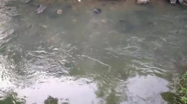 Kayaların üzerinden akan temiz nehir sularının manzarası huzurlu doğal atmosferi gösteriyor.