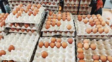 Kutularda ya da yumurta kaplarında paketlenmiş tavuk yumurtaları.