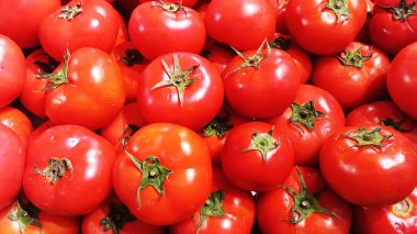 Büyük kırmızı yuvarlak domatesler üst üste dizilmiş.