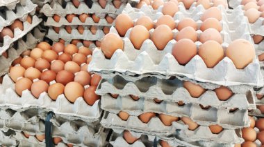 Kağıt yumurta kutusuna istiflenmiş çok sayıda tavuk yumurtası.
