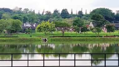 Göl kenarında sakin ve güzel bir manzara, yeşil ağaçlar ve arka planda kırsal tarzda binalar.