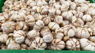 Sarımsak büyük miktarlarda birikti.