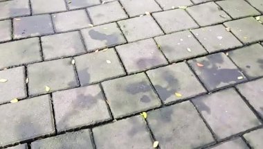 Kare kaldırım taşları ıslak gri ve kuru yapraklar içeriyor.