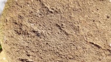 Kum taşı parlak güneş ışığı altında kaba desenli bir yüzey gösterir. Kütleli bileşimini ve doğal yapısını ortaya çıkarır. Bu da onu arka plan için uygun kılar veya jeolojik oluşumları temsil eder..