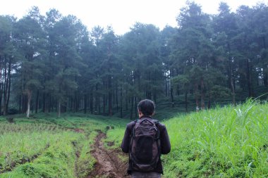 Sırt çantası takan bir adam, yoğun bir çam ormanına doğru çamurlu bir yolda yürüyor bulutlu bir gökyüzünün altında, maceraya hazır..