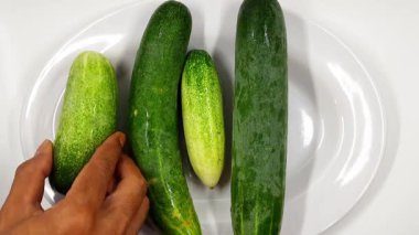 Canlı taze organik salatalıklar, nemden parlayan, büyüleyici yemek videosu görüntülerinde basit beyaz bir tabakta nazikçe dönerler..