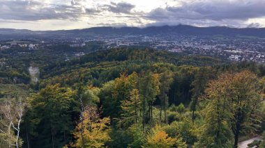 A breathtaking aerial shot showcasing vibrant and colorful trees set against a city skyline under a dramatic sky