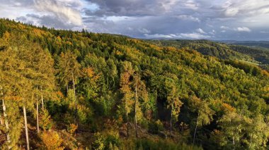 Stunning aerial view showcasing the vibrant array of autumn foliage across an expansive forest landscape