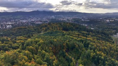 An aerial view shows a lush green forest on a hill overlooking an urban cityscape that complements its beauty