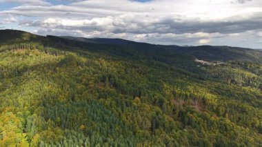 A stunning aerial drone shot beautifully showcasing vibrant green forests and rolling hills beneath a cloudy sky