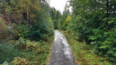 Explore this tranquil forest path, perfect for leisurely walks and enjoying natures stunning beauty
