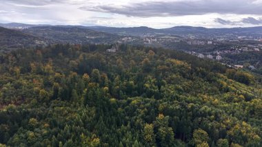 This aerial shot showcases vibrant trees and a city skyline during autumn, creating a picturesque view