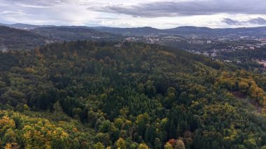 Stunning aerial footage capturing a dense forest during autumn with vibrant foliage and scenic hills.