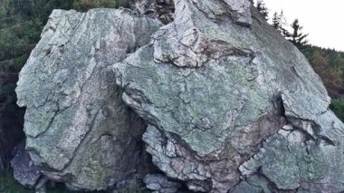 Ormandaki kayalık bir uçurumun dikey görüntüsü.