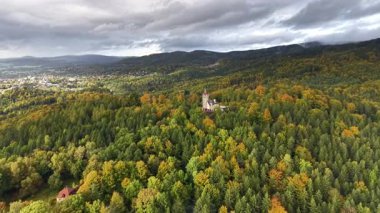 Tarihi bir yapıyı çevreleyen yemyeşil bir ormanın çarpıcı hava manzarası güzelliği vurguluyor.