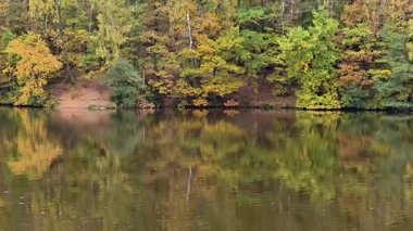 The stunning autumn scenery beautifully reflects vibrant colors on the calm water of the serene lake