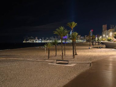 Sakin sahil manzarası, sakin sahil manzarası alacakaranlıkta ağaçlar ve daha uzak ışıklarla görülebilir.