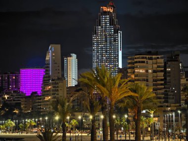 Gölgelerle dolu sakin bir sahil. Palmiyeler ve yansıtıcı sularla dolu huzurlu bir kıyı şeridi.