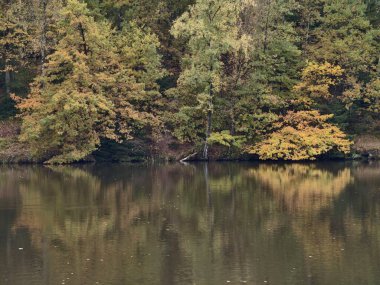 Durgun su ile sakin göl manzarası bastırılmış ışık koşulları altında sonbahar renklerini yansıtıyor