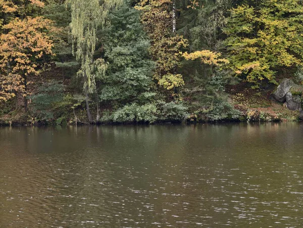 Sessiz sakin bir saklanma yeri, sonbaharda sakin göl kenarı, sonbahar yaprakları ve huzur dolu yalnız bir koy.