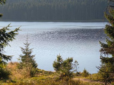 Ağaçlı sakin göller, huzurlu açık hava manzarası... Huzurlu göl ve orman arkaplanı...