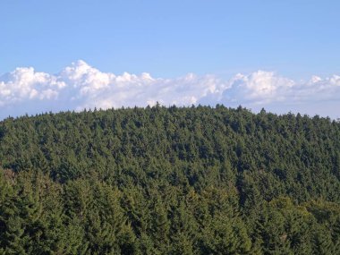 Geniş çam ormanları ve dalgalı tepeler arasında hareketli bir yaban hayatı sergiliyor.