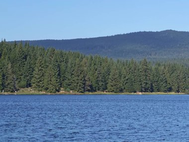 Huzurlu sahil manzarası yeşillik, huzurlu sahil bölgesi tepeler ve yumuşak su hareketleri.