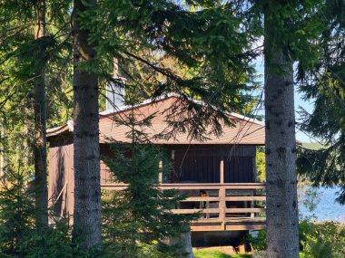 Huzurlu orman gizlenme yeri Yazarlar için, tenha loca Yüksek çam ormanı sükuneti içinde yuvalanmış