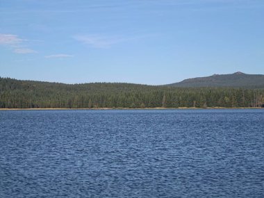 Huzurlu göl manzarası, sakin deniz manzarası uzak ağaçlar ve yansıtıcı dinginlik.