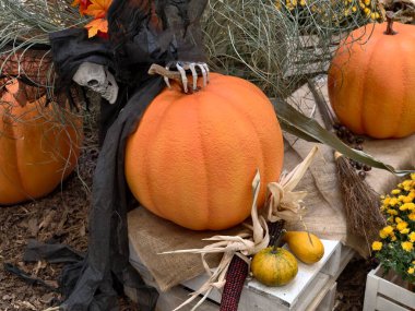 Ürkütücü sonbahar sahnesi, aksesuarlı ürkünç hasat gösterisi, ürkütücü elementlerle kırsal sonbahar düzenlemesi.