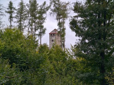 Sisli ufuk, keşif ve fotoğraf için yüksek çam ağaçları arasında antik taş taret çerçeveler