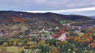 sonbaharda manzaralı köy manzarası, sakin kırsal manzara hava aracı perspektifinden çekildi