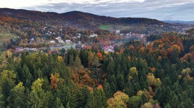 Ağaçlarla ve köyle sakin bir manzara, yemyeşil yapraklar sakin bir vadiyi çevrelemiş.