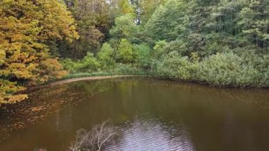 Sonbahar ağaçlarının arasında sakin bir su kütlesi mevsimsel ışıkla hafifçe aydınlatılmış sessiz bir sulak alan.