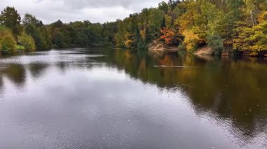 Kuş yaşamı ve yapraklı sakin sular, dalgalı ve sonbahar ağaçlı sakin göl manzarası