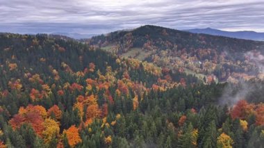 İnsansız hava aracı rengarenk dağ vadisi sahnelerini, sonbahar ağaçlarının panoramik görüntülerini yakalıyor.