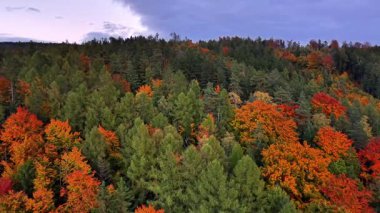 Canlı manzara görüntüleri, muhteşem panoramik sahne mevsimlik renkler ve doğal manzaralar.