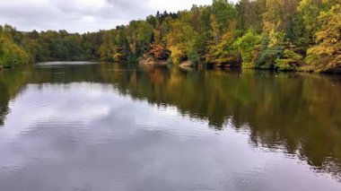 Sakin orman manzarası, sakin sık orman bulutlu gökyüzünün altında sakin gölü yansıtıyor.