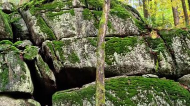 Bilim adamı gizli yeraltı geçidini inceliyor, araştırmacı gizli Mosscovered mağarasını araştırıyor.