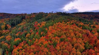 Belgesel ekibi ve patika koşucusu bulutlu günbatımı gökyüzünün altında yanan kırmızı ağaç tepelerini gözlemliyor.