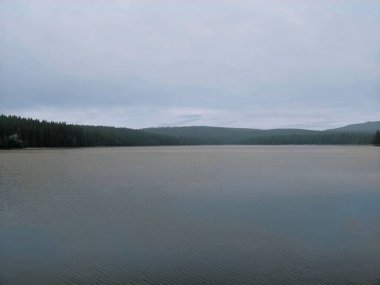 Geniş, sakin su, orman kıyıları ve ince bulut örtüsü, yumuşak ufuk ve yumuşak dalgalar, geniş dalgalar.
