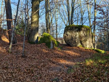 Altın saat izleri kayaların arasından geçiyor, ılık, düşük güneş ışığı uzun gölgeler bırakıyor, yapraklar gevrek dökülüyor.